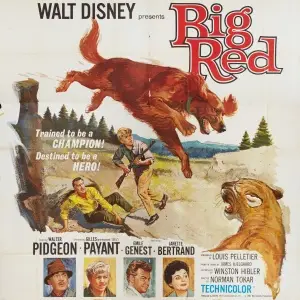 Big Red (1962) White T-Shirt - idPoster.com