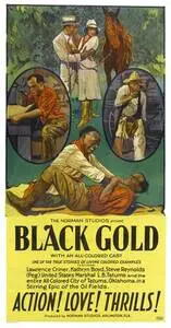 Black Gold (1928) posters and prints
