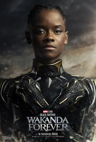 Black Panther - Wakanda Forever (2022) Wall Poster picture 1056082