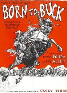 Born to Buck (1966) posters and prints