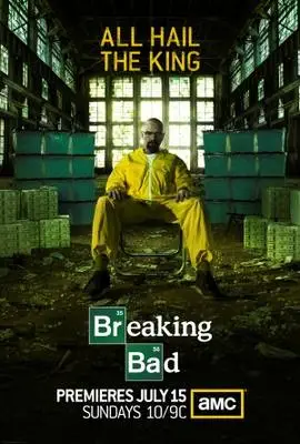 Breaking Bad (2008) Wall Poster picture 384013