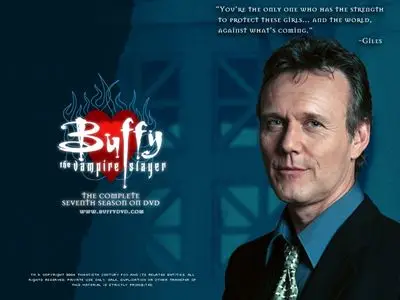 Buffy the Vampire Slayer Fridge Magnet picture 216436