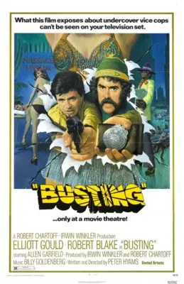 Busting (1974) Wall Poster picture 938582