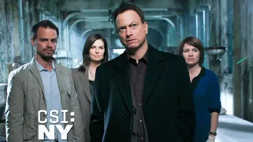 CSI NY Wall Poster picture 219633