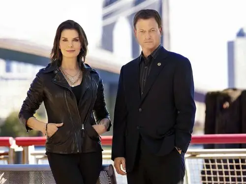 CSI NY Jigsaw Puzzle picture 219646