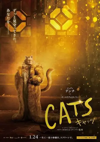 Cats (2019) Wall Poster picture 920649