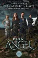 Dark Angel (2019) posters and prints