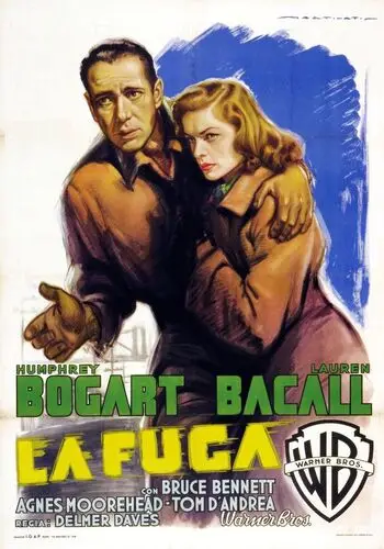Dark Passage (1947) Wall Poster picture 938736