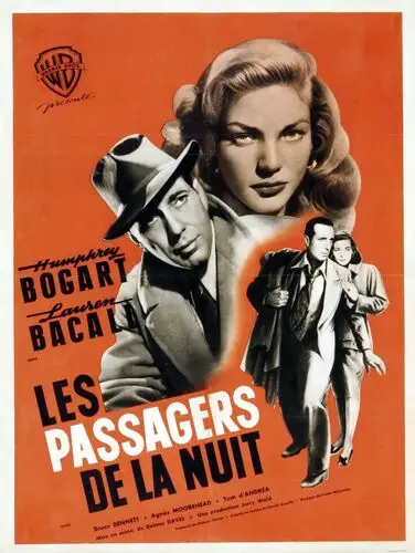 Dark Passage (1947) Wall Poster picture 938737