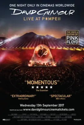 David Gilmour Live at Pompeii (2017) Men's Colored Hoodie - idPoster.com