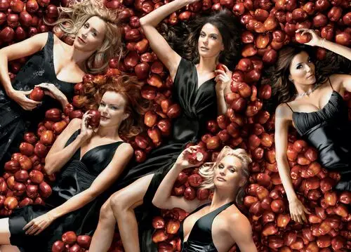 Desperate Housewives Jigsaw Puzzle picture 220191