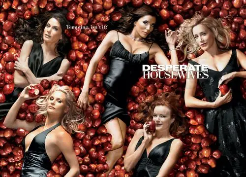 Desperate Housewives Jigsaw Puzzle picture 220287
