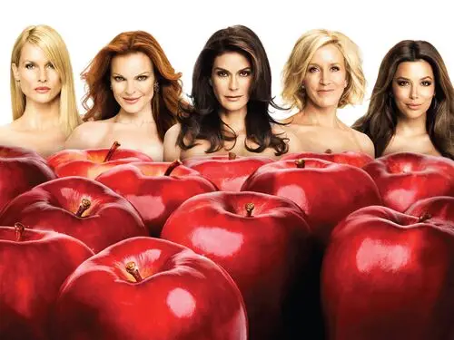 Desperate Housewives Fridge Magnet picture 220390