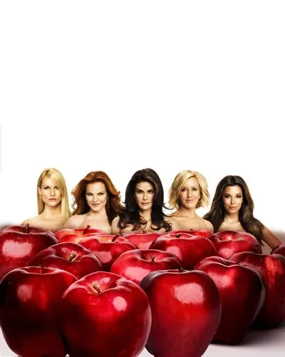 Desperate Housewives Jigsaw Puzzle picture 220429