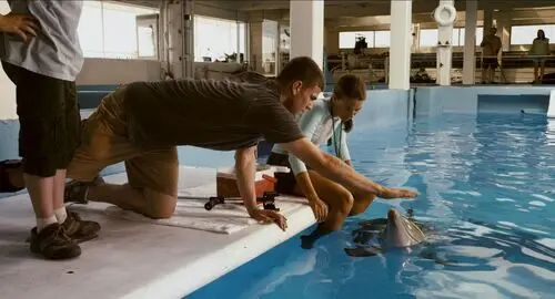 Dolphin Tale (2011) Jigsaw Puzzle picture 152490