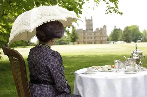 Downton Abbey Protected Face mask - idPoster.com