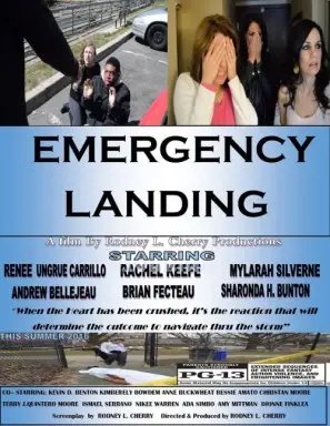 Emergency Landing 2016 Jigsaw Puzzle picture 690884