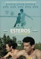 Esteros 2016 posters and prints