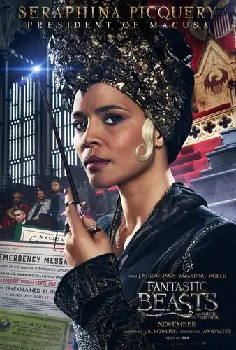 Fantastic Beasts and Where to Find Them (2016) Baseball Cap - idPoster.com