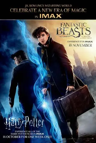 Fantastic Beasts and Where to Find Them (2016) Fridge Magnet picture 548424