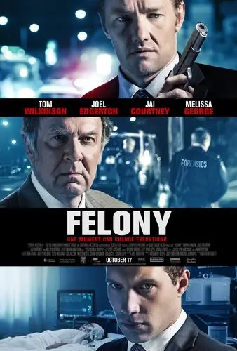 Felony (2014) Wall Poster picture 464145