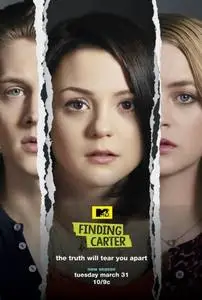 Finding Carter (2014) posters and prints
