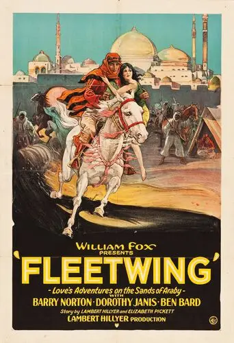 Fleetwing (1928) Wall Poster picture 501263