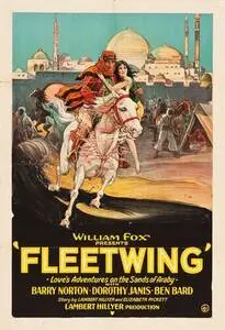 Fleetwing (1928) posters and prints