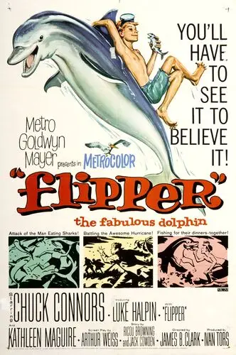 Flipper (1963) Women's Colored  Long Sleeve T-Shirt - idPoster.com