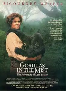 Gorillas in the Mist (1988) posters and prints