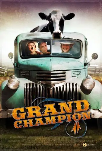 Grand Champion (2004) Men's Colored Hoodie - idPoster.com
