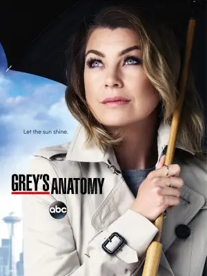 Grey's Anatomy (2005) Jigsaw Puzzle picture 387163
