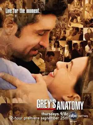 Grey's Anatomy (2005) Wall Poster picture 445197