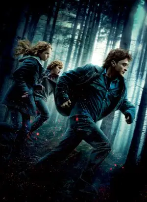 Harry Potter and the Deathly Hallows: Part I (2010) Wall Poster picture 423179