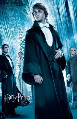 Harry Potter and the Goblet of Fire (2005) Wall Poster picture 341196