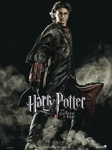 Harry Potter and the Goblet of Fire (2005) Protected Face mask - idPoster.com