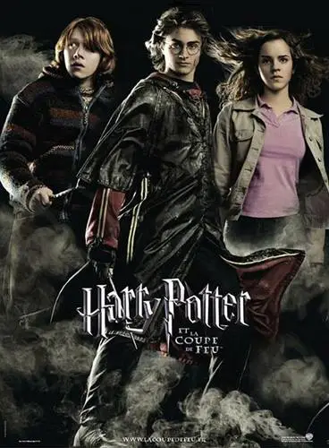 Harry Potter and the Goblet of Fire (2005) Wall Poster picture 813007
