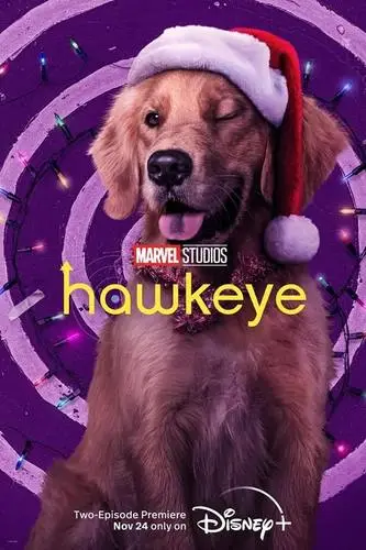 Hawkeye (2021) Wall Poster picture 999102