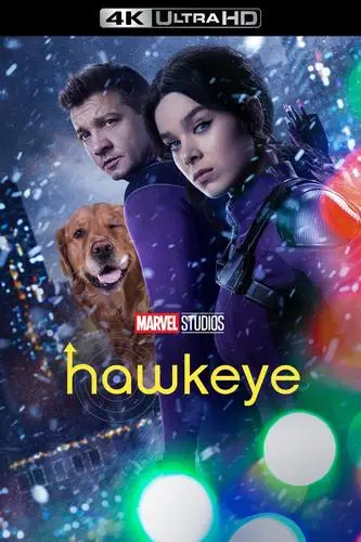 Hawkeye (2021) Men's Colored Hoodie - idPoster.com