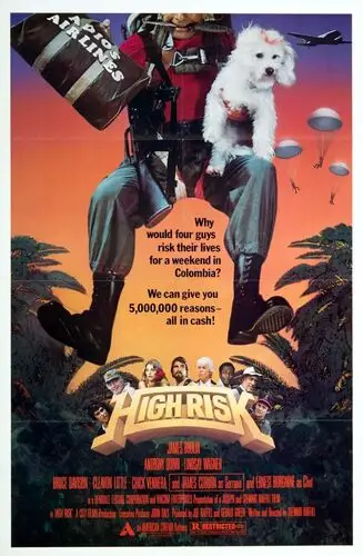 High Risk (1981) Wall Poster picture 471218