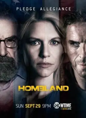 Homeland (2011) Wall Poster picture 384242