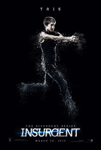 Insurgent (2015) Wall Poster picture 464272