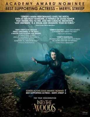 Into the Woods (2014) Wall Poster picture 369238