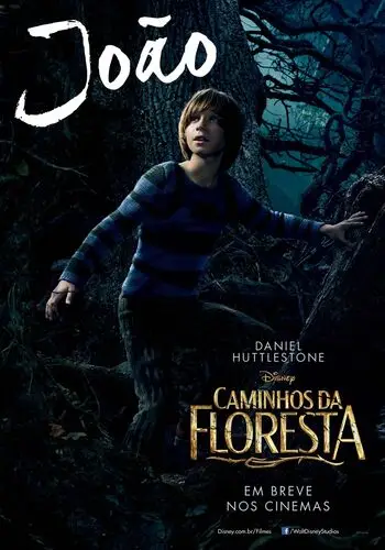 Into the Woods (2014) Wall Poster picture 464296