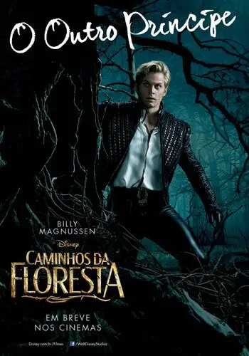 Into the Woods (2014) Wall Poster picture 464300