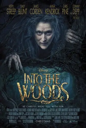 Into the Woods (2014) Protected Face mask - idPoster.com