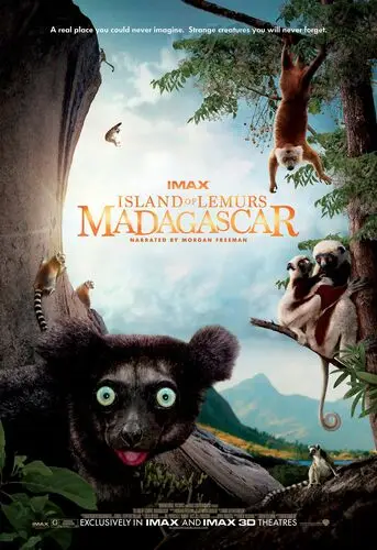 Island of Lemurs Madagascar (2014) Men's Colored Hoodie - idPoster.com