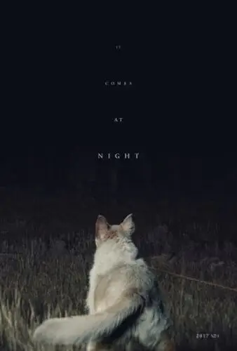 It Comes at Night 2017 Wall Poster picture 614093