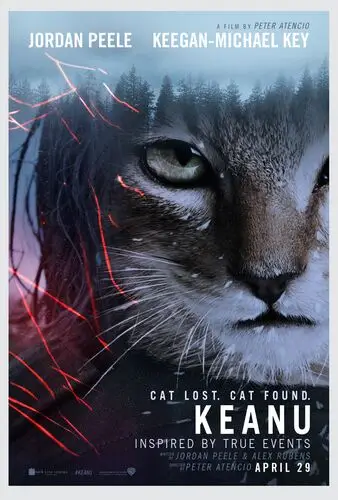 Keanu (2016) Wall Poster picture 501971