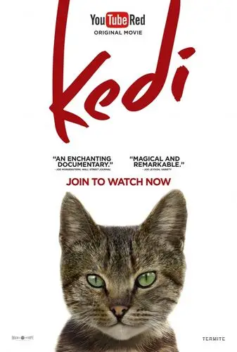 Kedi (2017) Wall Poster picture 742710